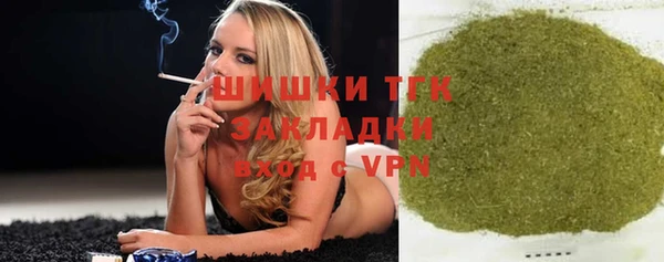 крисы Богородицк