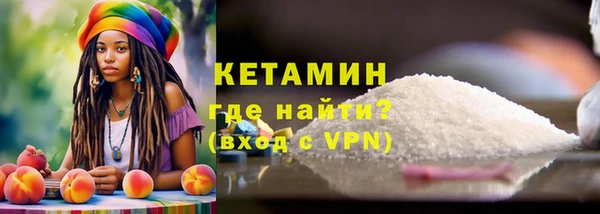 крисы Богородицк