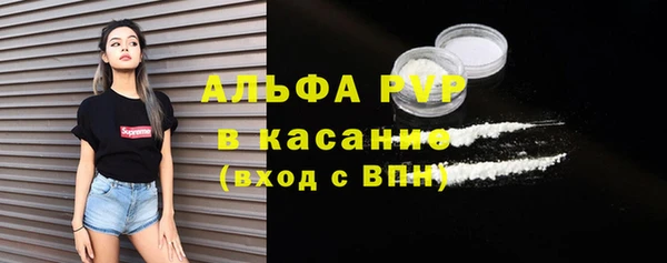 крисы Богородицк