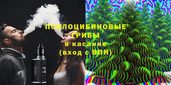 крисы Богородицк