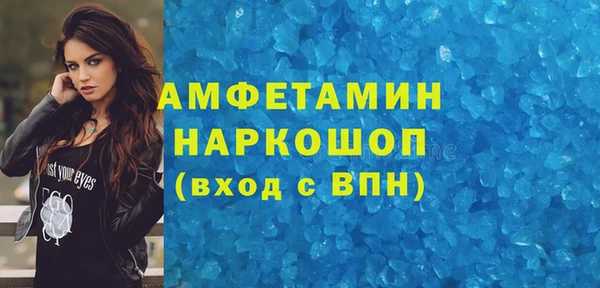крисы Богородицк