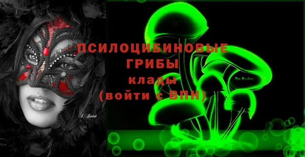 2c-b Богородск